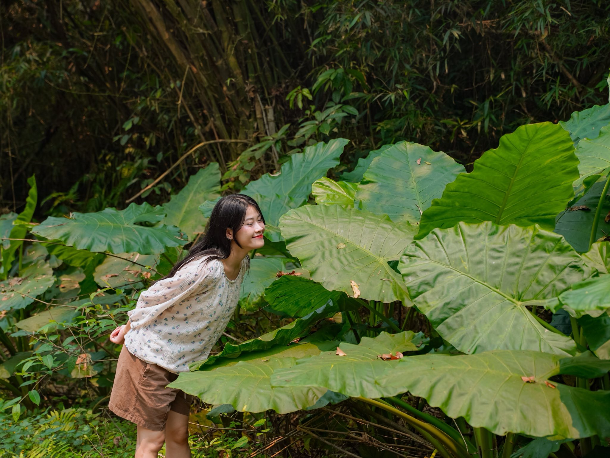 Trải nghiệm Mùa bướm Cúc Phương 2026 - khám phá thế giới Ghibli giữa đời thực - Ảnh 12. Trải nghiệm Mùa bướm Cúc Phương 2026 - khám phá thế giới Ghibli giữa đời thực - Ảnh 12.