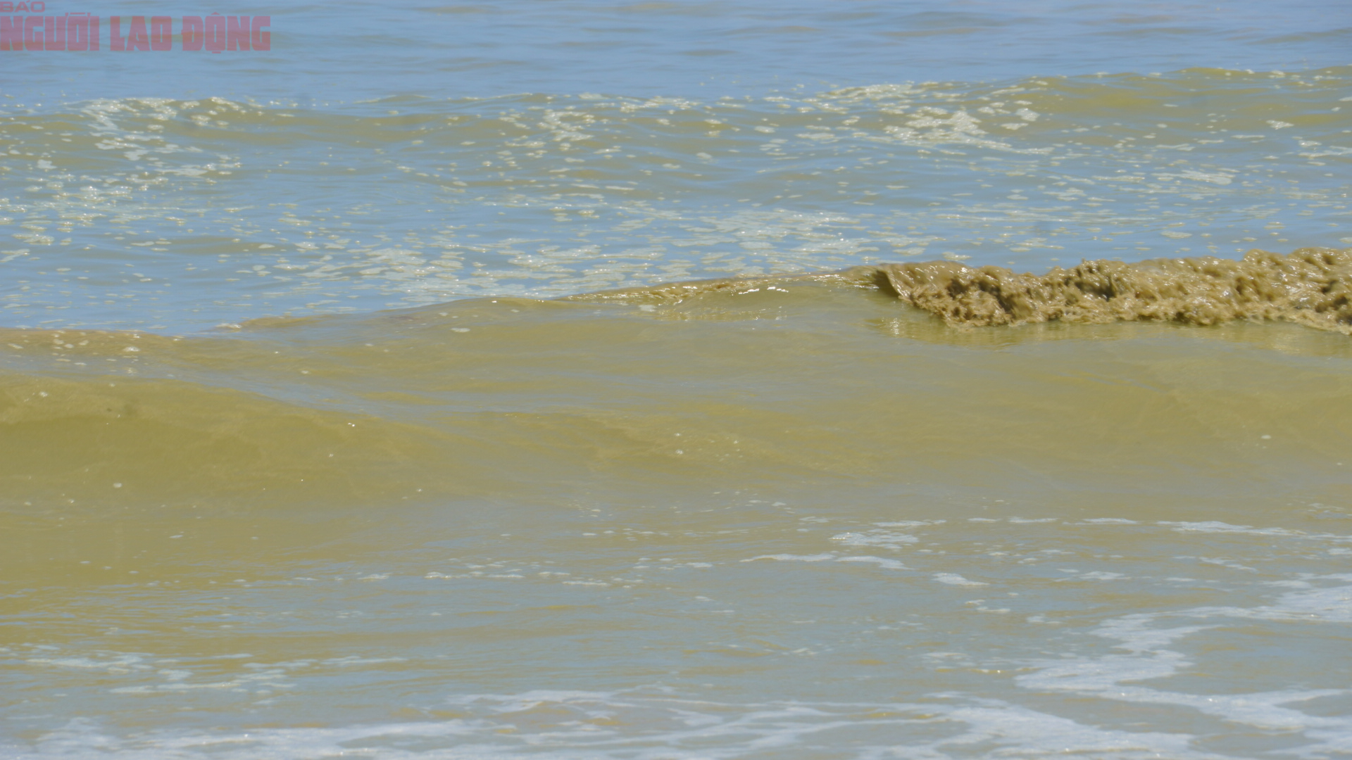 Biển B&atilde;i Sau Vũng T&agrave;u chuyển m&agrave;u xanh như matcha , du kh&aacute;ch lo ngại điều g&igrave;? - Ảnh 3.