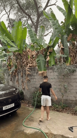 Quang Hải rửa xe Range Rover 8 tỷ v&agrave; chăm s&oacute;c c&acirc;y cối ngay trước nh&agrave; bố vợ - Ảnh 3.