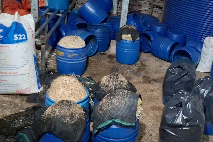 Khởi tố Chu Thị H&ograve;a v&igrave; vi phạm an to&agrave;n thực phẩm trong sản xuất gi&aacute; đỗ - Ảnh 2.