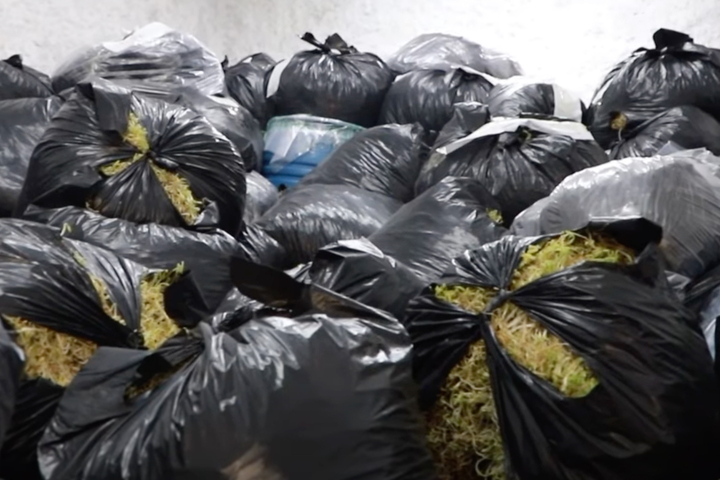 Khởi tố Chu Thị H&ograve;a v&igrave; vi phạm an to&agrave;n thực phẩm trong sản xuất gi&aacute; đỗ - Ảnh 3.