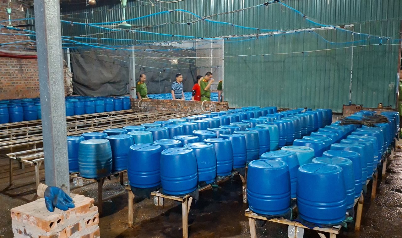 Cảnh b&aacute;o sản xuất gi&aacute; đỗ độc hại tại L&agrave;o Cai: Hơn 500 tấn bị ph&aacute;t hiện - Ảnh 2.