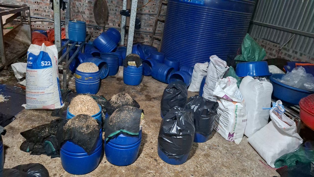 Cảnh b&aacute;o sản xuất gi&aacute; đỗ độc hại tại L&agrave;o Cai: Hơn 500 tấn bị ph&aacute;t hiện - Ảnh 3.