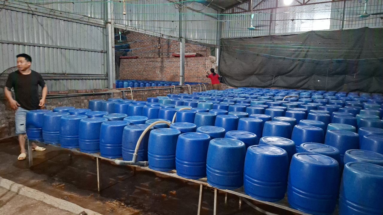 Cảnh b&aacute;o sản xuất gi&aacute; đỗ độc hại tại L&agrave;o Cai: Hơn 500 tấn bị ph&aacute;t hiện - Ảnh 6.