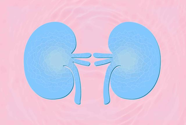 Buổi sáng nhất định phải uống loại nước này vì cực tốt cho thận, pha loãng chất thải, hỗ trợ lưu thông máu - Ảnh 1.