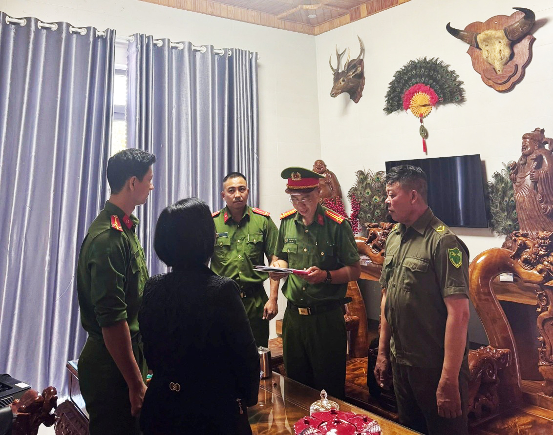 Khởi tố hộ kinh doanh trốn thuế 2,1 tỷ đồng tại Đắk Lắk  - Ảnh 1.