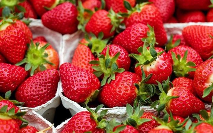 Nhiều người Việt mắc sai lầm n&agrave;y: Ăn tr&aacute;i c&acirc;y ngay sau bữa ăn g&acirc;y hại kh&ocirc;ng ngờ - Ảnh 2.