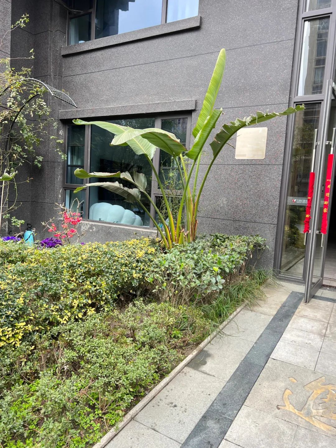 Mẹ H&agrave; Nội chia sẻ: T&ocirc;i từng nghĩ mua căn hộ tầng 1 l&agrave; &ldquo;qu&aacute; tiện&rdquo; - đến khi sống mới thấy 