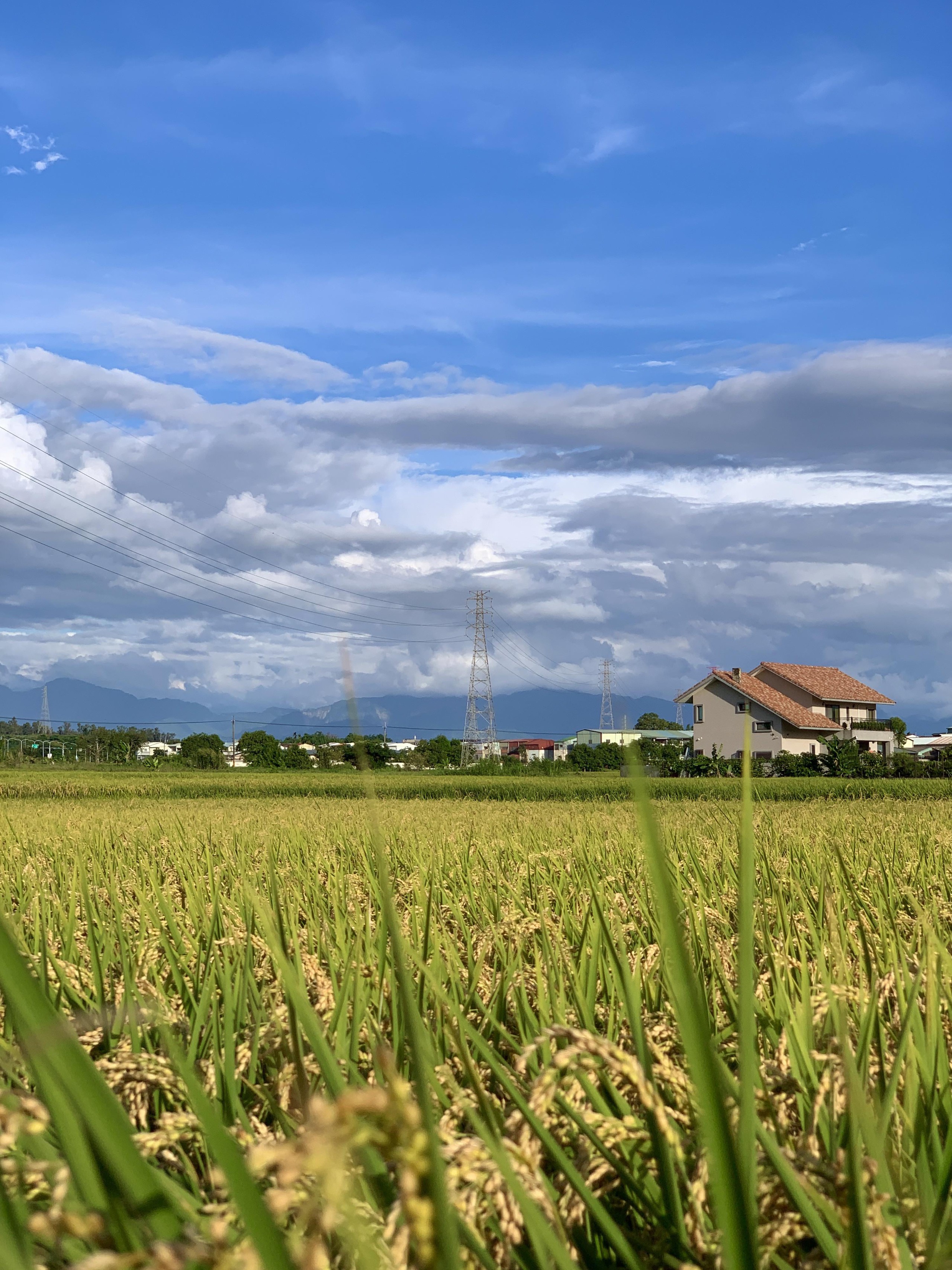 Về qu&ecirc; dịp Thanh Minh, nh&igrave;n căn nh&agrave; cũ của bố mẹ, t&ocirc;i nhận ra: C&oacute; những thứ kh&ocirc;ng cần mua mới vẫn đủ đầy - Ảnh 2.