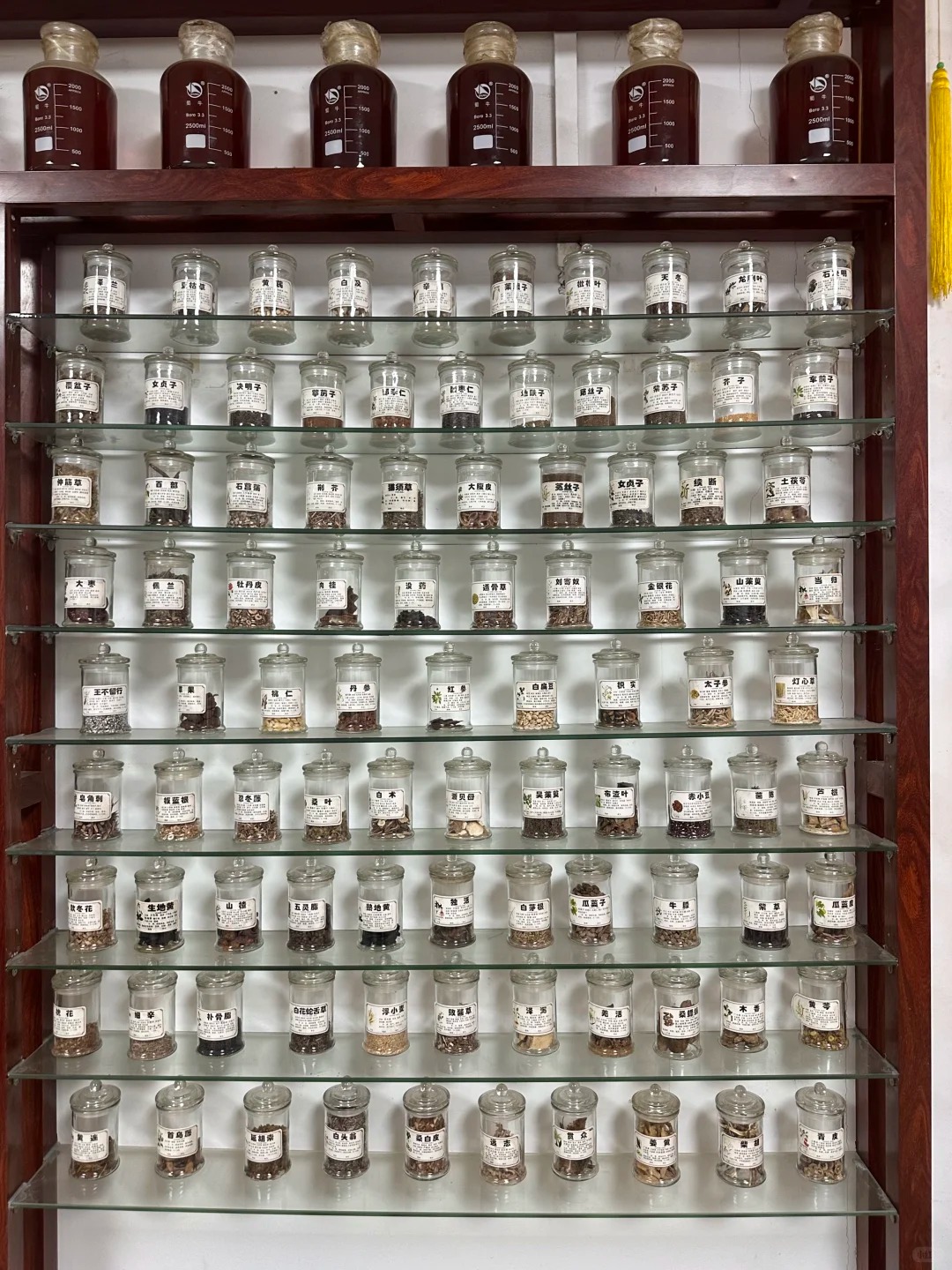 Giới trẻ Trung Quốc chọn vị đắng Thay vì ngọt ngào để sống khỏe mạnh - Ảnh 3. Giới trẻ Trung Quốc chọn vị đắng Thay vì ngọt ngào để sống khỏe mạnh - Ảnh 3.