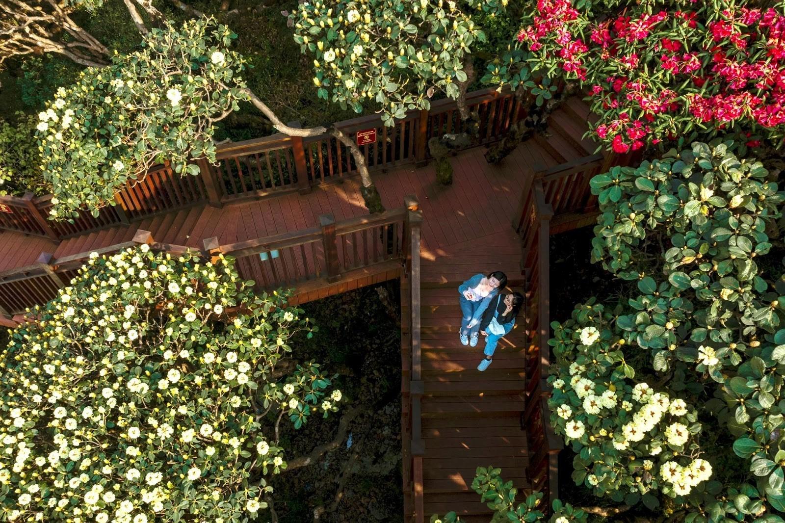 Du lịch Sa Pa dịp Giỗ Tổ, 30/4-1/5: Lộ trình nào lý tưởng nhất? - Ảnh 4.