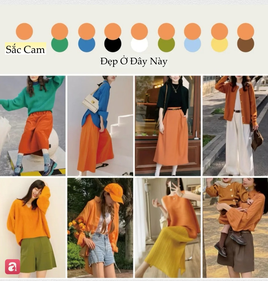 7 cặp b&agrave;i tr&ugrave;ng m&agrave;u sắc gi&uacute;p bạn 