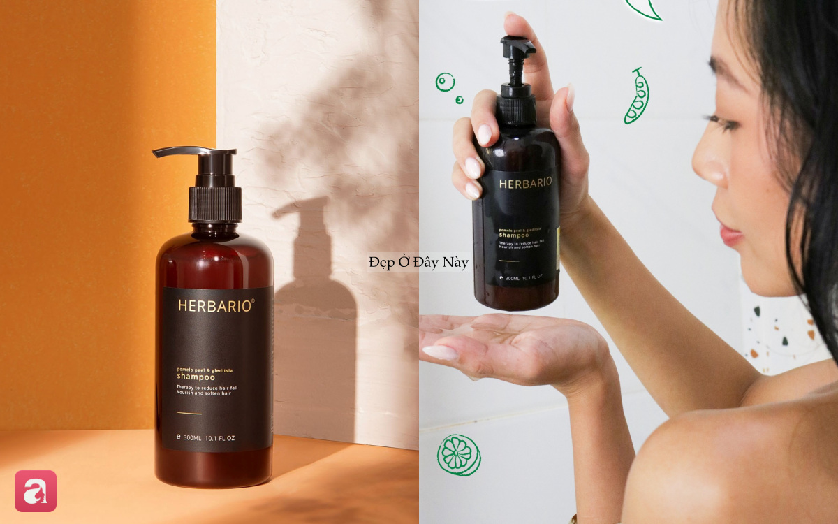 5 dầu gội bồ kết 