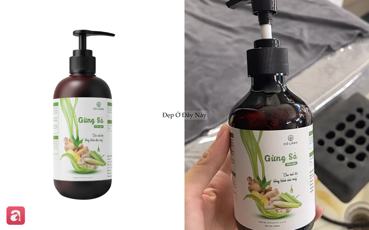 5 dầu gội bồ kết 