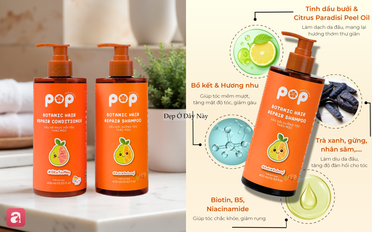 5 dầu gội bồ kết 