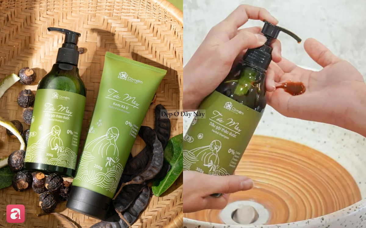 5 dầu gội bồ kết 