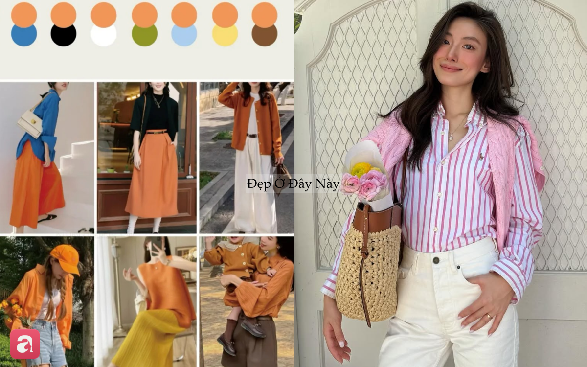 7 cặp b&agrave;i tr&ugrave;ng m&agrave;u sắc gi&uacute;p bạn 