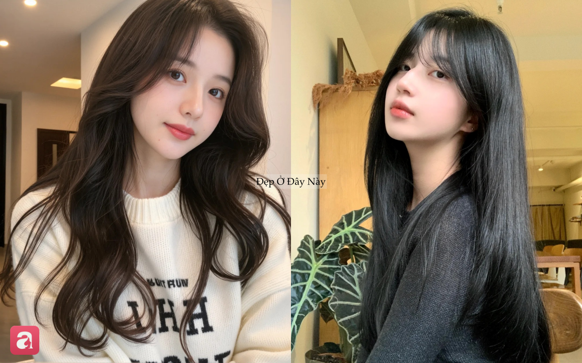 5 dầu gội bồ kết 