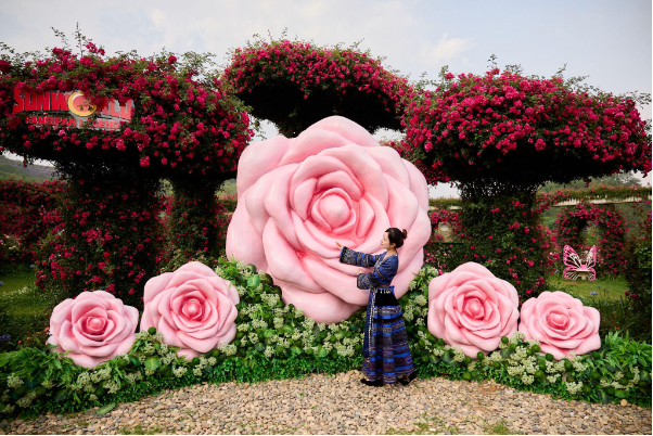 Du lịch Sa Pa 30/4: Đắm say với Bản giao hưởng hoa hồng tại Sun World Fansipan Legend - Ảnh 1.