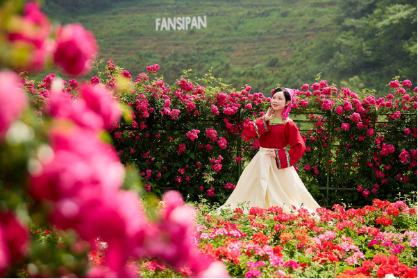 Du lịch Sa Pa 30/4: Đắm say với Bản giao hưởng hoa hồng tại Sun World Fansipan Legend - Ảnh 2.