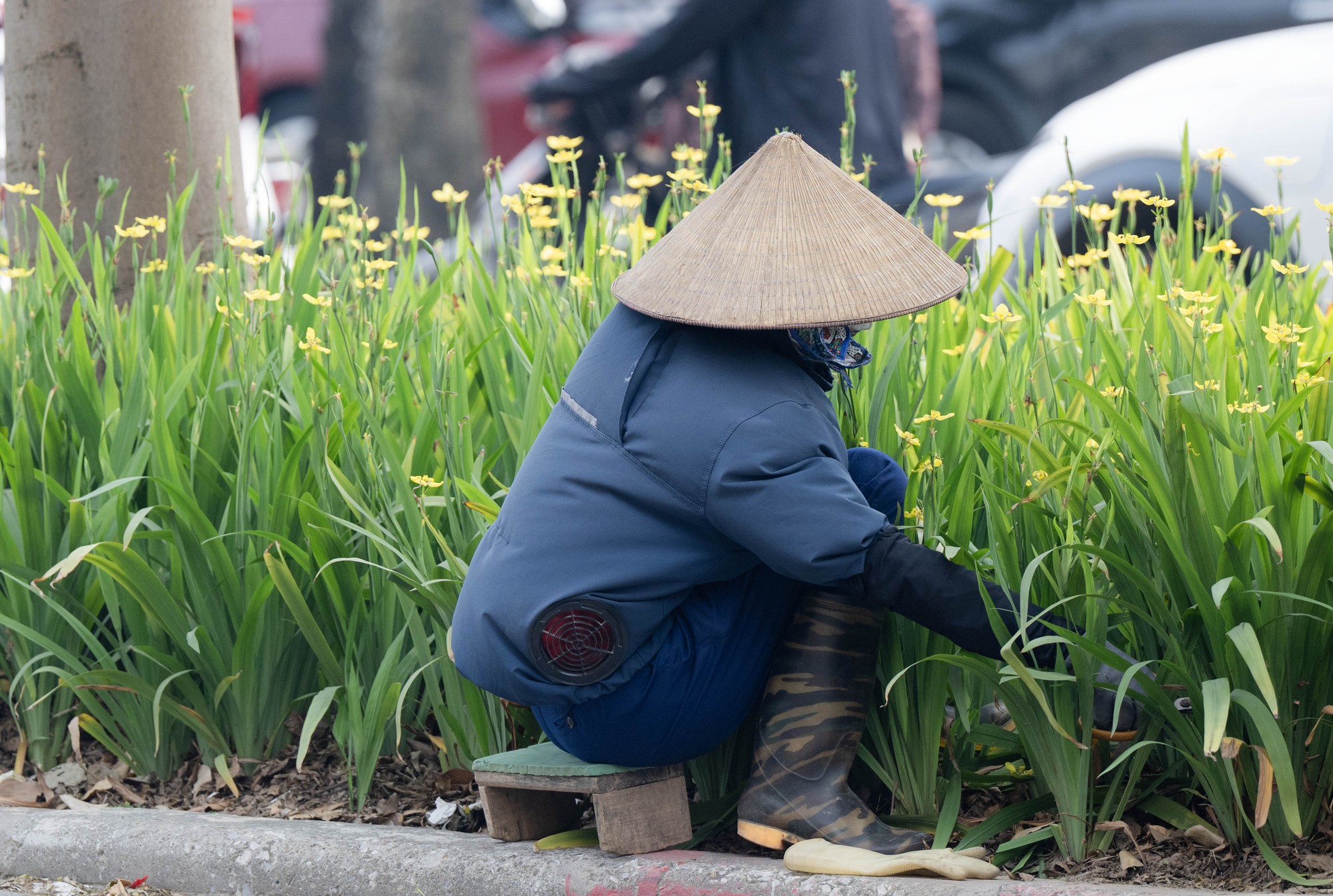 Nắng n&oacute;ng 38 độ C ở H&agrave; Nội: C&ocirc;ng vi&ecirc;n th&agrave;nh &ldquo; ph&ograve;ng ngủ trưa &rdquo; của người lao động - Ảnh 4.