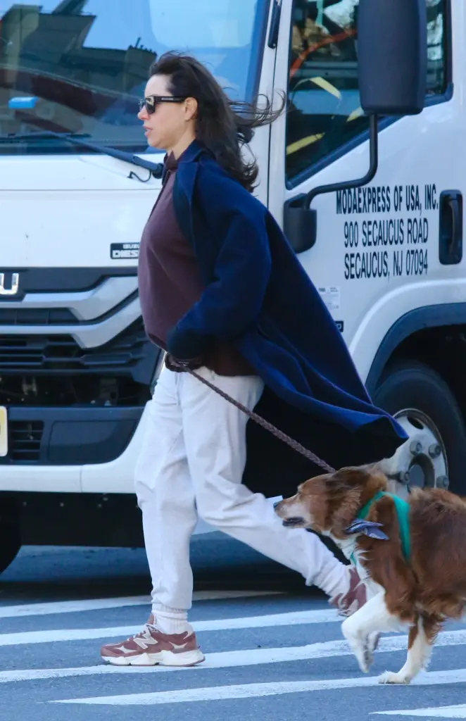 Aubrey Plaza mang thai với Christopher Abbott sau 1 năm mất chồng - Ảnh 3.