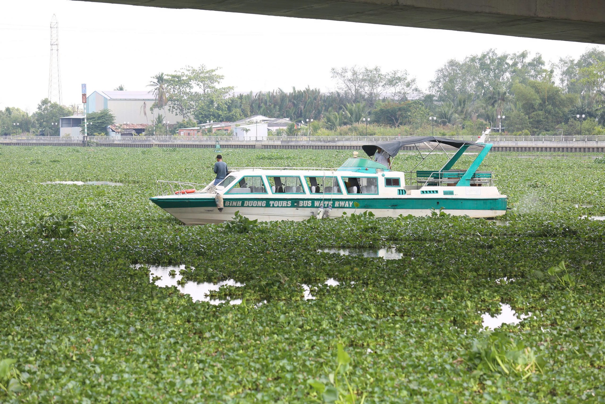 T&igrave;m kiếm người nhảy cầu T&acirc;n An ở T&acirc;y Ninh: Nỗi đau v&agrave; &aacute;p lực t&acirc;m l&yacute; - Ảnh 3.