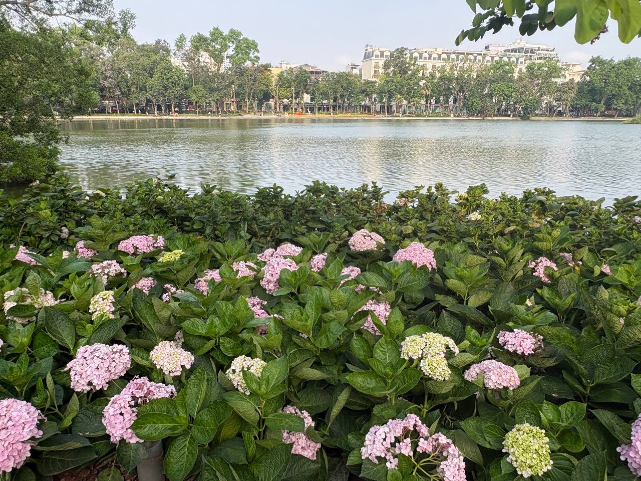 Nghỉ lễ một m&igrave;nh ở Hồ Gươm: Kỳ nghỉ th&uacute; vị kh&ocirc;ng cần đi xa năm 2026 - Ảnh 4.