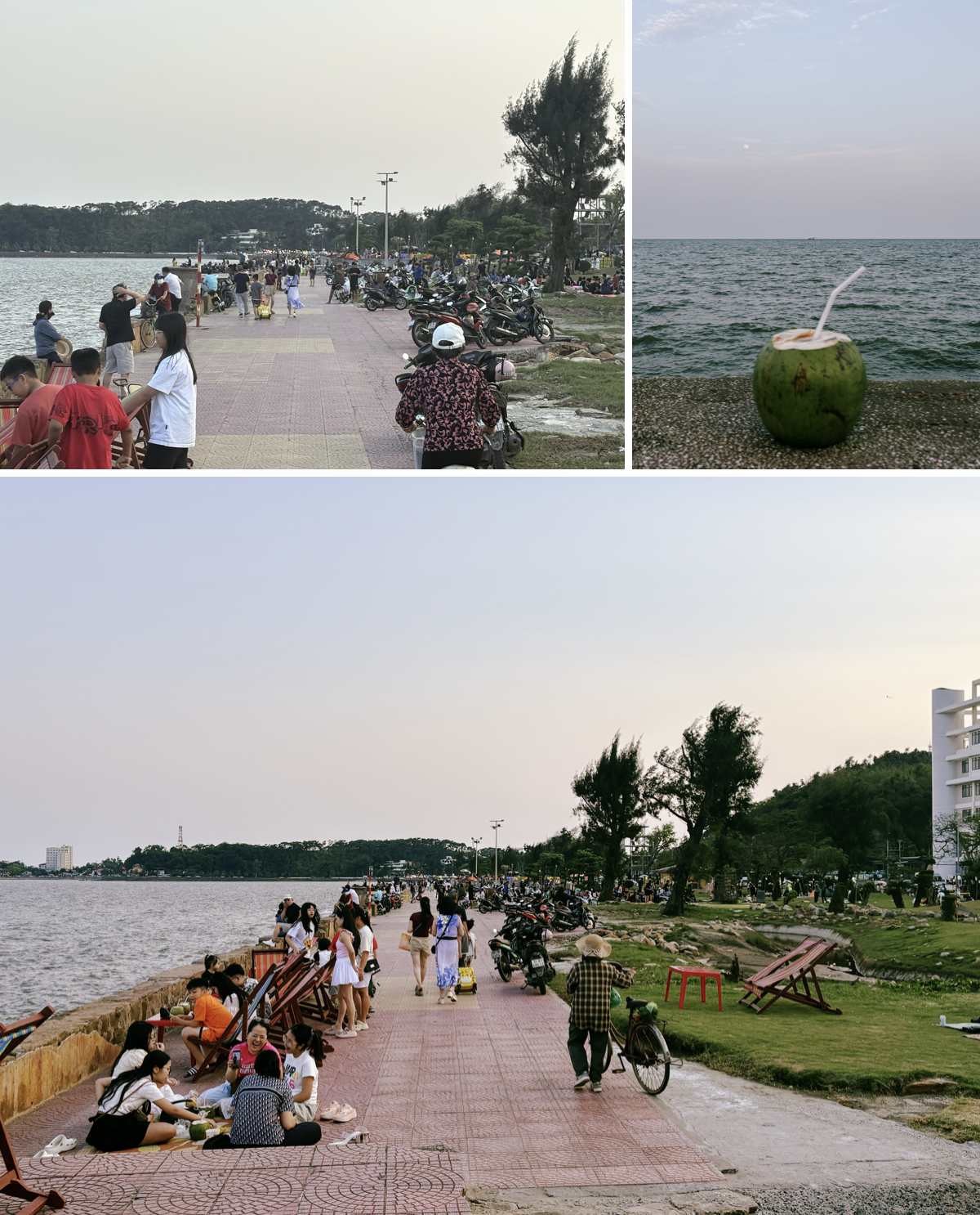 Người Hà Nội còn ở Hải Phòng không? Bật mí chỗ ngắm biển cực chill không đông đúc, dừa 40k một quả, ghế ngồi không tính tiền! - Ảnh 2.