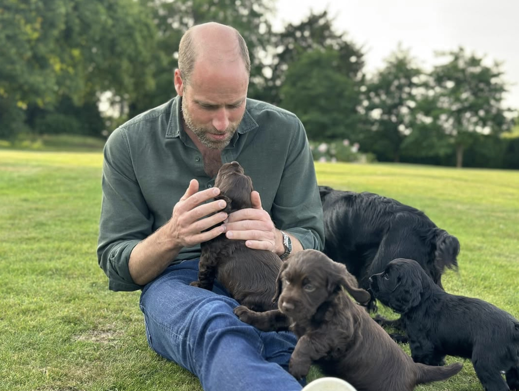 15 Năm h&ocirc;n nh&acirc;n của William v&agrave; Kate: Gia đ&igrave;nh ho&agrave;ng gia hạnh ph&uacute;c b&ecirc;n 2 ch&uacute; ch&oacute; - Ảnh 2.