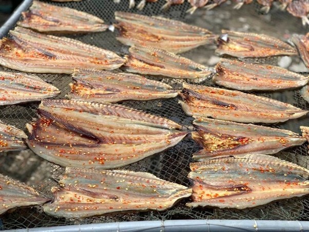 Loại c&aacute; nhọn hoắt c&oacute; t&ecirc;n cực lạ, g&acirc;y 