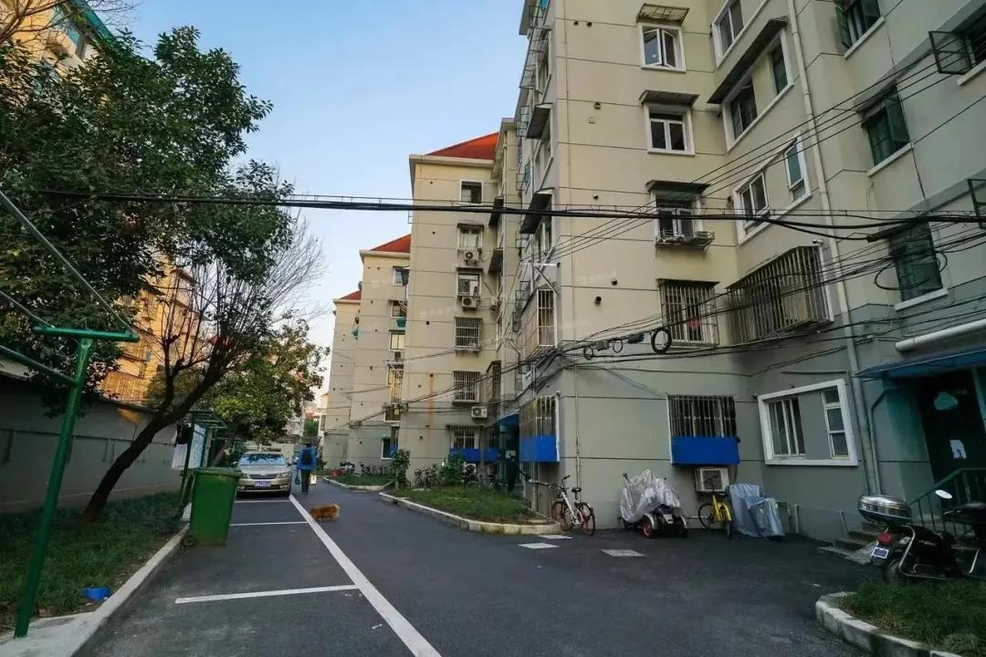 &ldquo;Nhiều người ch&ecirc; căn hộ tầng 1 vừa cũ vừa tối, nhưng sau nửa năm sống ở đ&acirc;y, t&ocirc;i thấy m&igrave;nh đ&atilde; chọn đ&uacute;ng&rdquo;: C&acirc;u chuyện khiến nhiều người suy nghĩ lại về chữ &ldquo;an cư&rdquo; - Ảnh 1.
