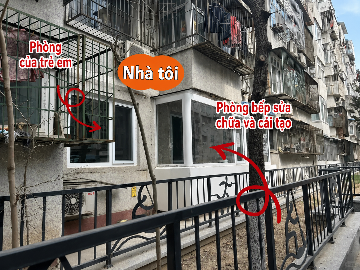 &ldquo;Nhiều người ch&ecirc; căn hộ tầng 1 vừa cũ vừa tối, nhưng sau nửa năm sống ở đ&acirc;y, t&ocirc;i thấy m&igrave;nh đ&atilde; chọn đ&uacute;ng&rdquo;: C&acirc;u chuyện khiến nhiều người suy nghĩ lại về chữ &ldquo;an cư&rdquo; - Ảnh 6.