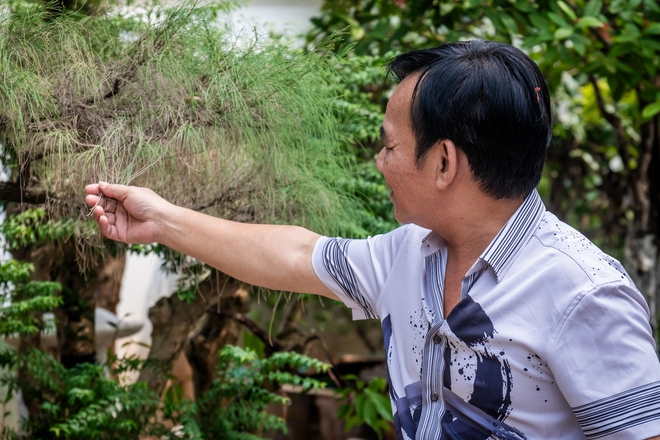 NSƯT Quang T&egrave;o v&agrave; cuộc sống b&igrave;nh y&ecirc;n trong biệt thự 1 . 000 M&sup2; tại H&agrave; Nội - Ảnh 5.