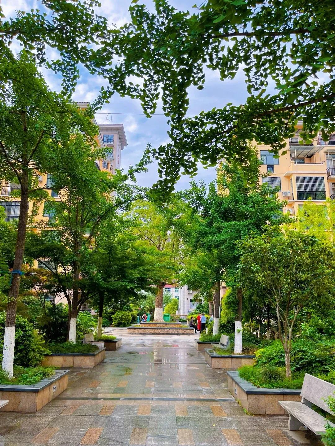 Rời căn hộ tầng 32 để về khu tập thể cũ, t&ocirc;i mới hiểu sống thoải m&aacute;i kh&ocirc;ng nằm ở việc nh&agrave; cao bao nhi&ecirc;u tầng - Ảnh 3.