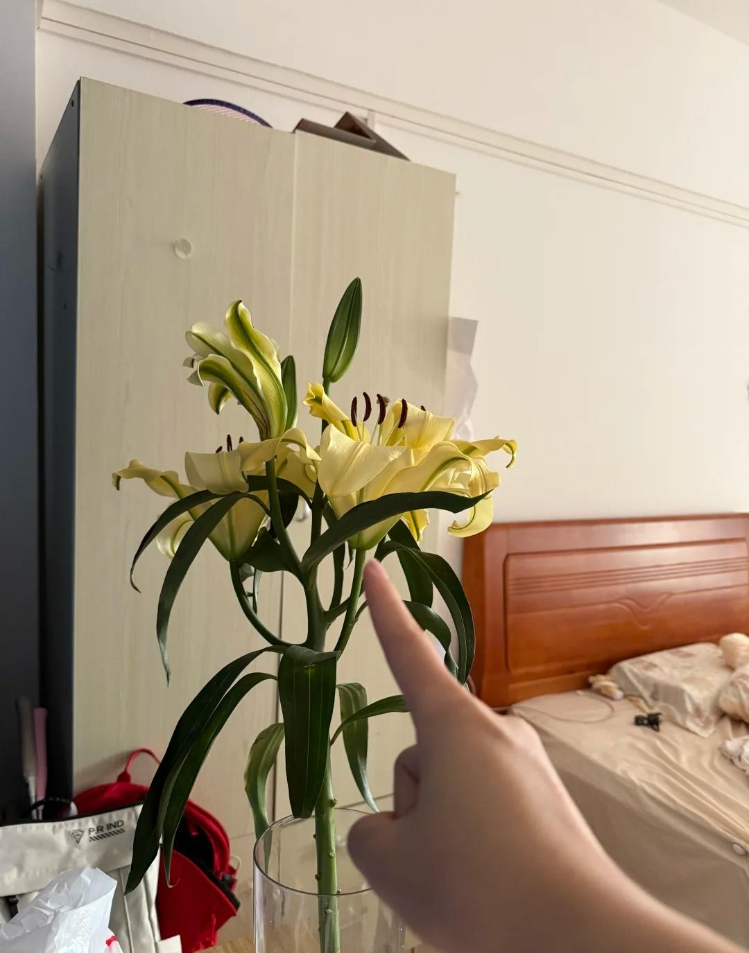 Kiểm tra ph&ograve;ng ngủ của bạn: Nếu vẫn giữ 6 m&oacute;n đồ n&agrave;y, giấc ngủ c&oacute; thể đang &ldquo;xuống cấp&rdquo; từng ng&agrave;y m&agrave; bạn kh&ocirc;ng nhận ra - Ảnh 1.