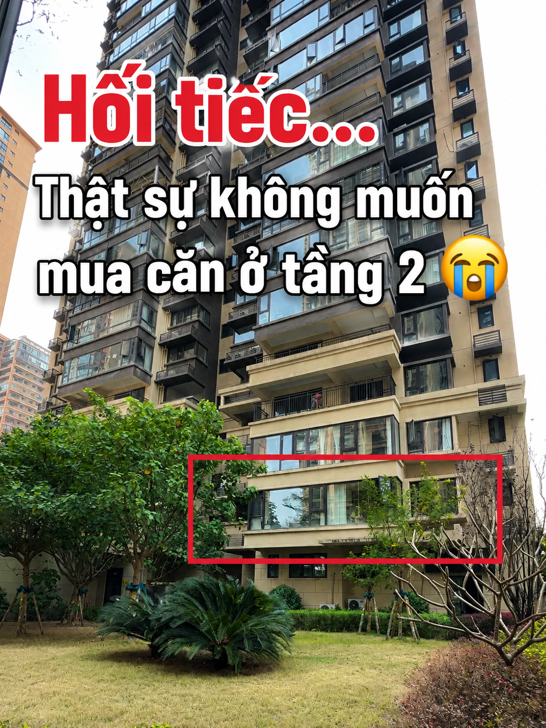 Từng bị chê “không ai muốn mua”, căn hộ tầng 2 nay lại thành lựa chọn của nhiều người trẻ: Giá mềm, tiện sống và có một lợi thế bất ngờ - Ảnh 1.