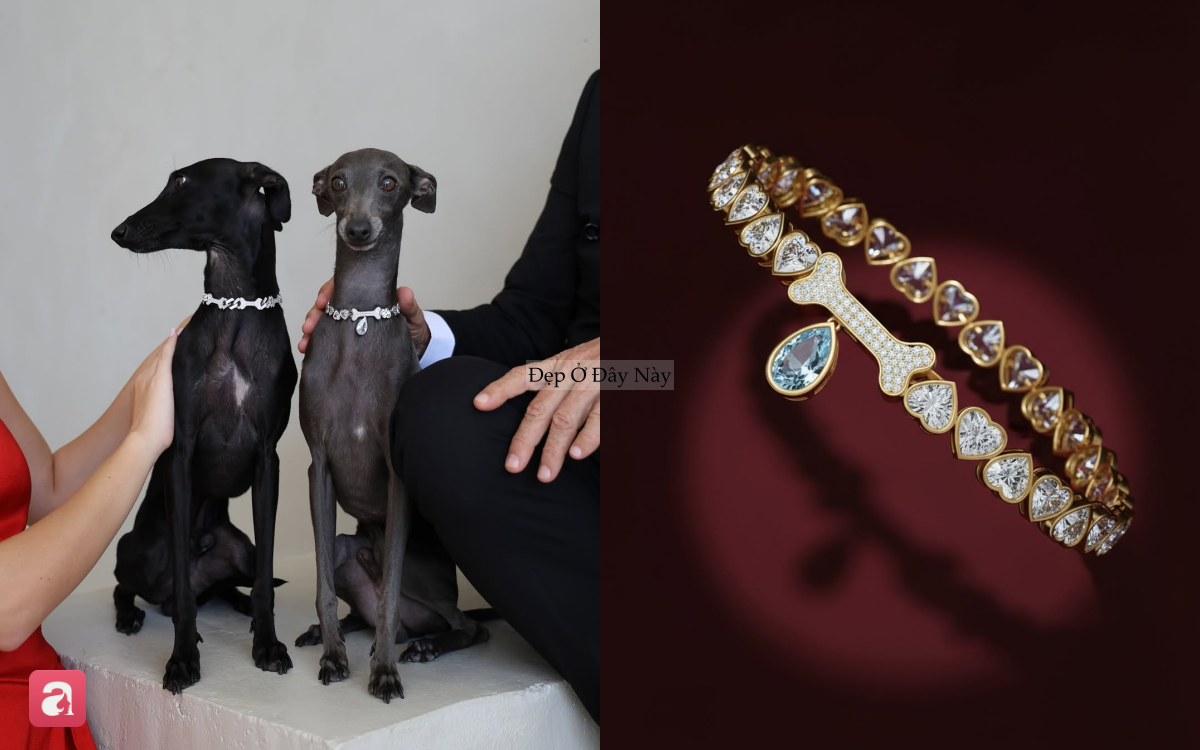 Nhiều khi ghen tị với c&aacute;c boss: Đeo v&ograve;ng v&agrave;i tỷ l&oacute;ng l&aacute;nh kim cương, c&oacute; tiền chưa chắc mua được - Ảnh 3.