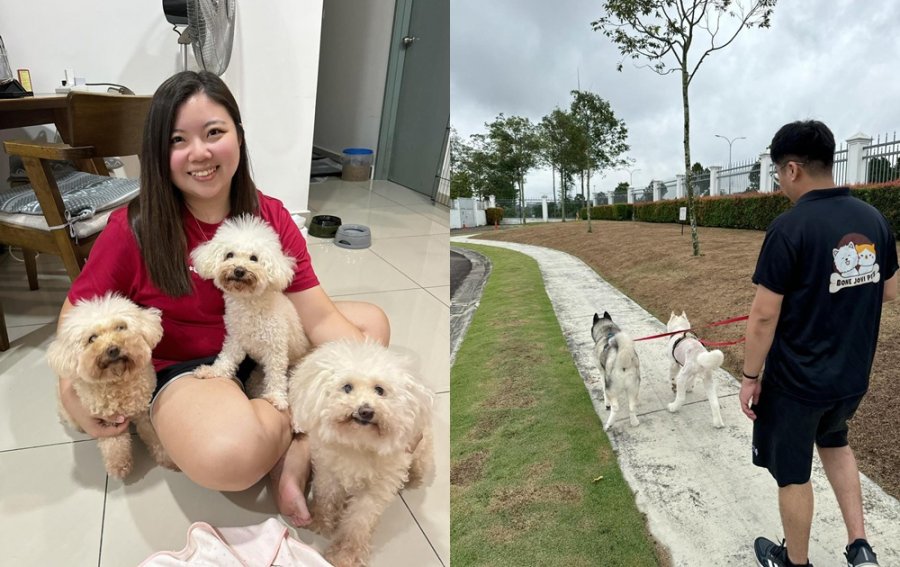 Sau ly h&ocirc;n ở tuổi 45, nhiều phụ nữ bắt đầu lại từ 5 nghề n&agrave;y v&agrave; dần c&oacute; khoản để d&agrave;nh - Ảnh 3.