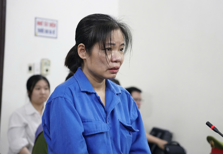 Nữ gi&uacute;p việc bạo h&agrave;nh cụ b&agrave; xe lăn bị tuy&ecirc;n &aacute;n 2 năm t&ugrave; tại H&agrave; Nội - Ảnh 1.