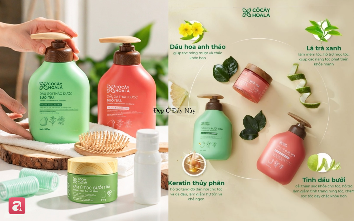 5 chai dầu gội 