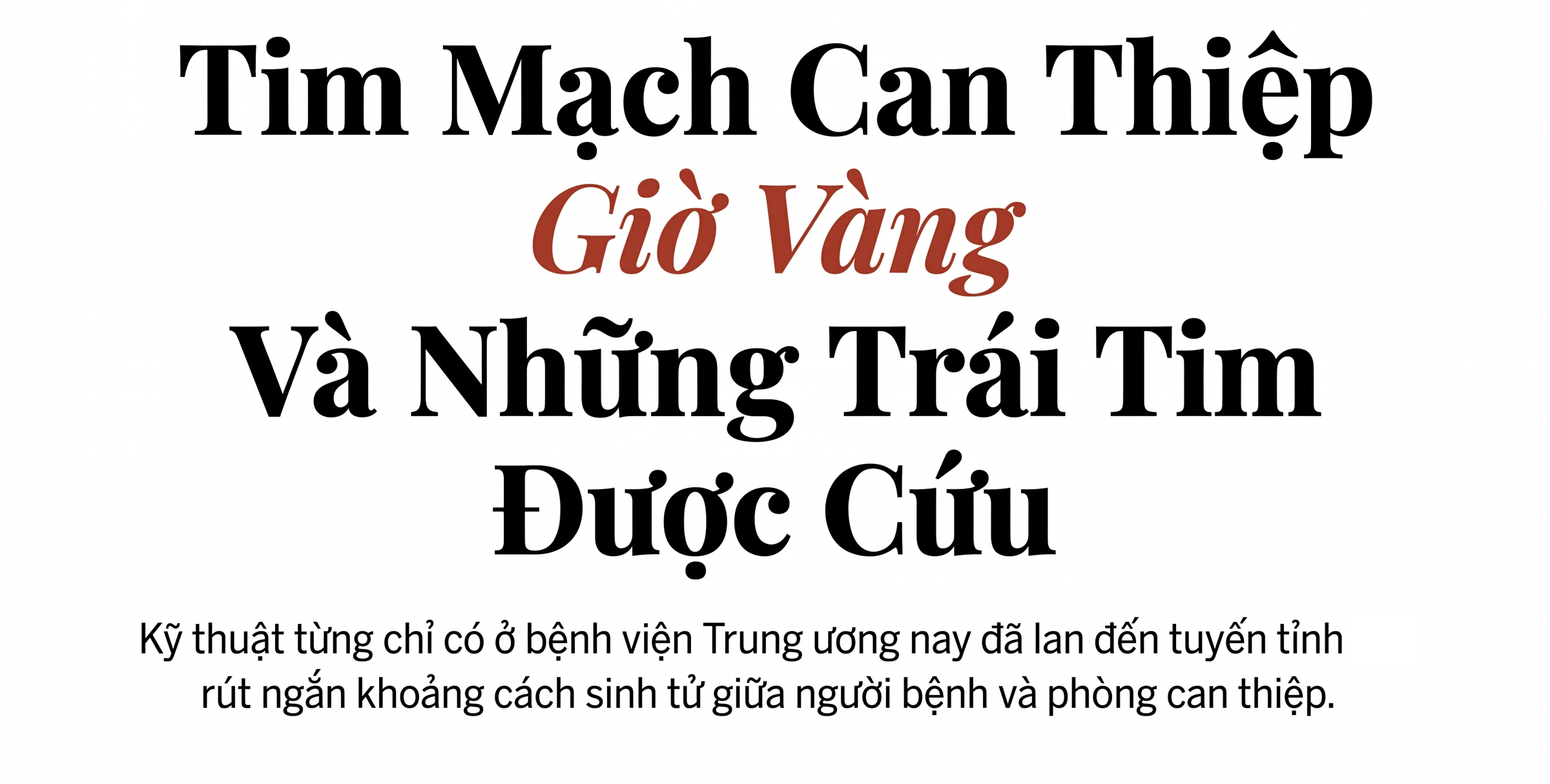 Tự hào y học Việt Nam: Những bàn tay chữa lành kỳ diệu - Ảnh 8.