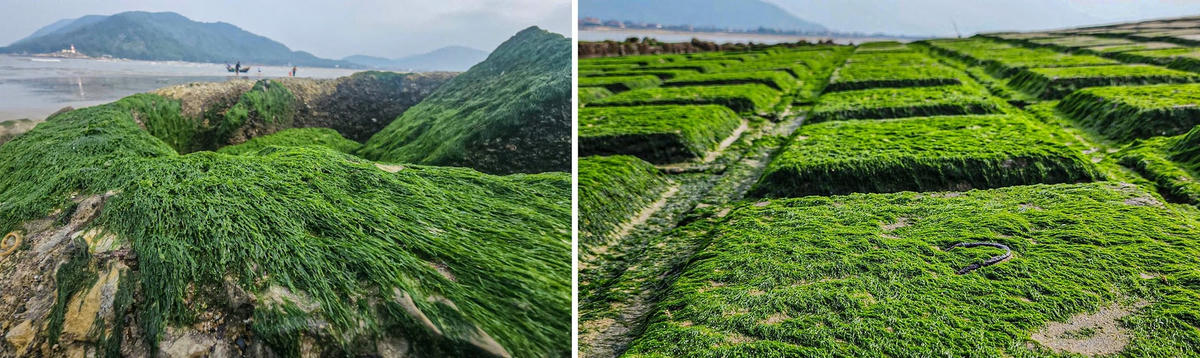 Kh&aacute;m ph&aacute; b&atilde;i đ&aacute; Thi&ecirc;n Cầm tuyệt đẹp v&agrave; lưu &yacute; quan trọng khi đến tham quan - Ảnh 2.