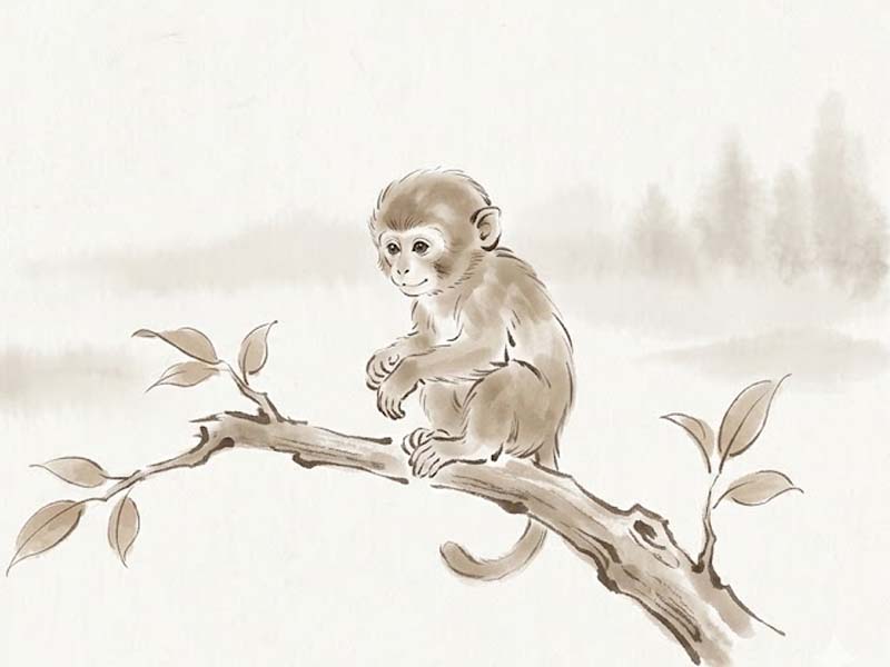 Từ cuối th&aacute;ng 5: 5 con gi&aacute;p c&oacute; vận may t&agrave;i ch&iacute;nh bứt l&ecirc;n mạnh mẽ, người tuổi Hợi dễ gặp &ldquo;lộc bất ngờ&rdquo;, tuổi Rồng c&oacute; cơ hội đổi đời nhờ một quyết định lớn - Ảnh 3.
