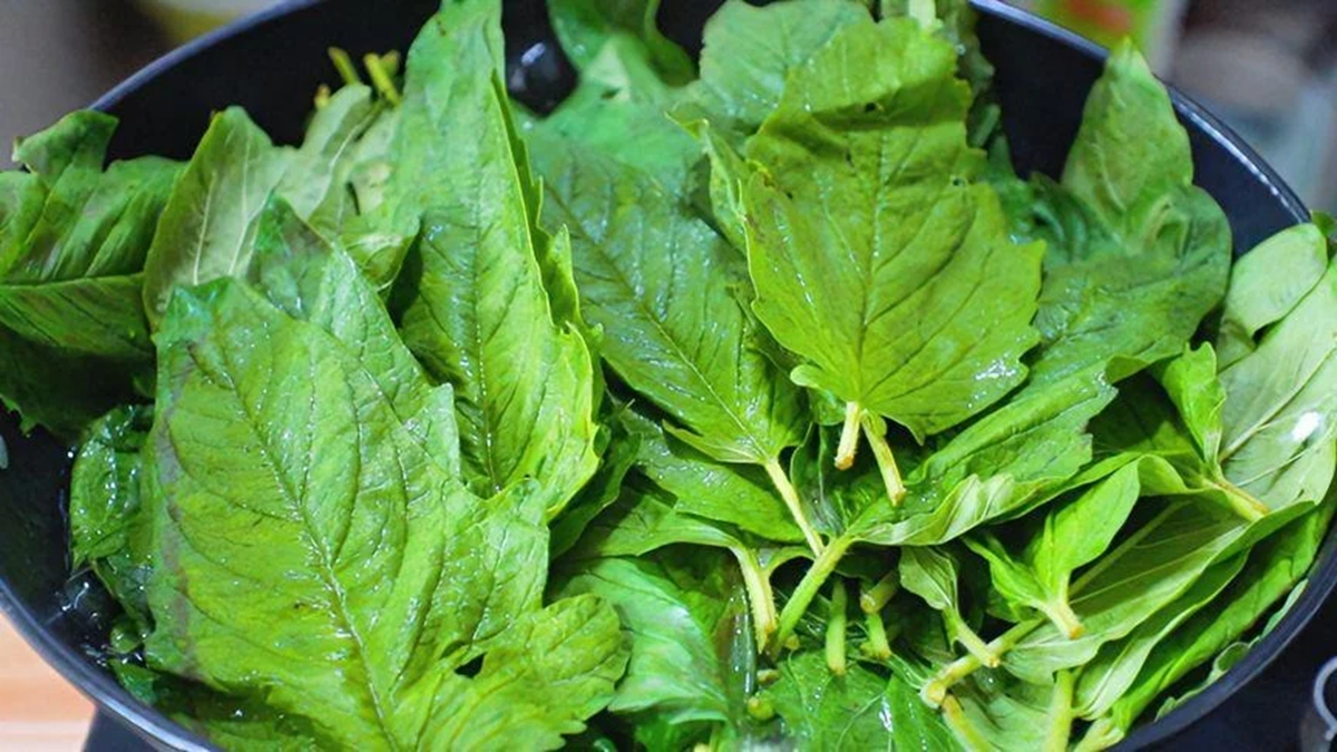 Đừng chỉ ăn hạt, l&aacute; loại c&acirc;y n&agrave;y cũng v&iacute; như 