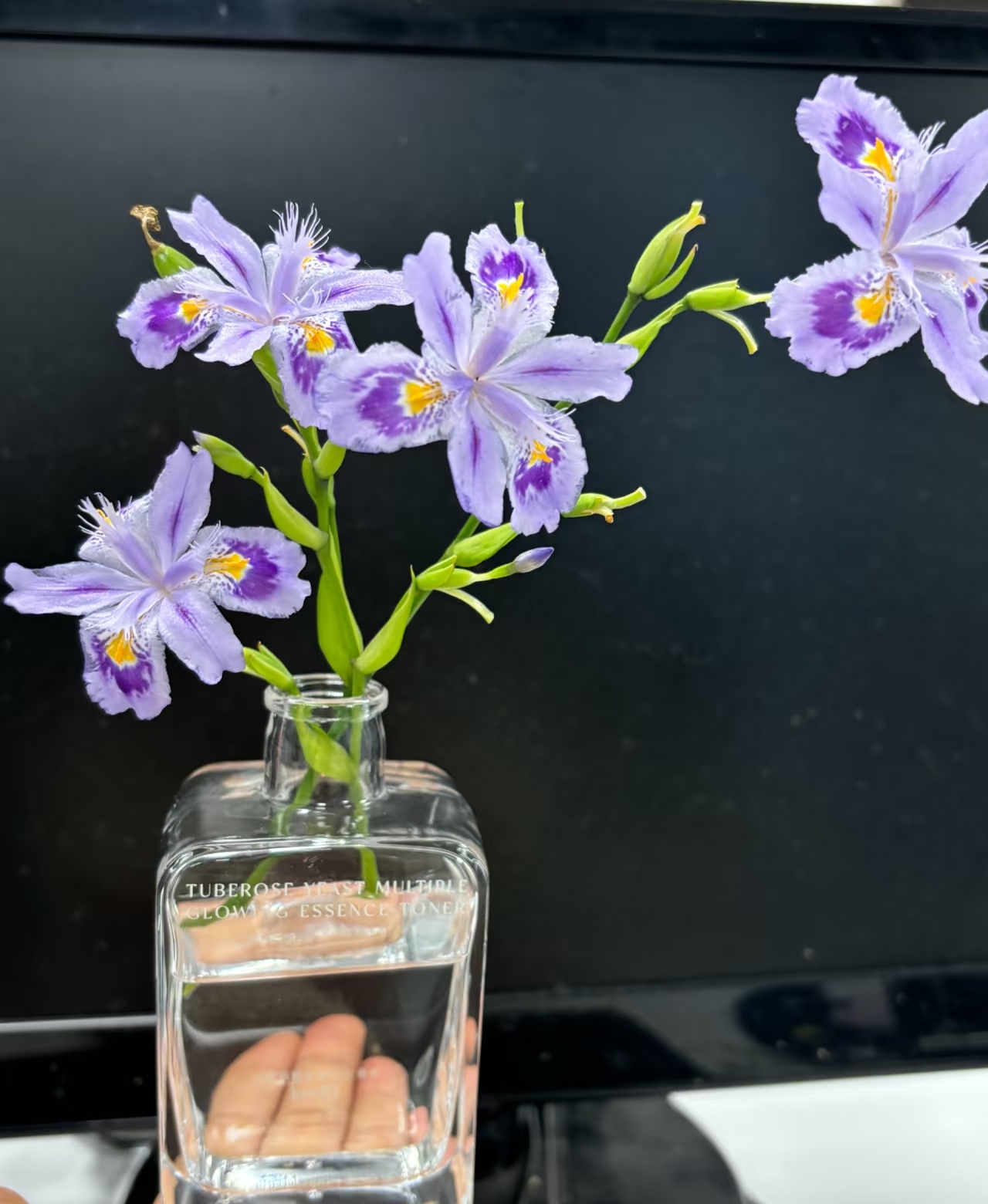 Một phụ nữ biến hoa di&ecirc;n vĩ th&agrave;nh &ldquo;t&aacute;c phẩm nghệ thuật&rdquo;: Nh&igrave;n những chiếc chậu ai cũng muốn trồng thử một c&acirc;y trong nh&agrave; - Ảnh 3.
