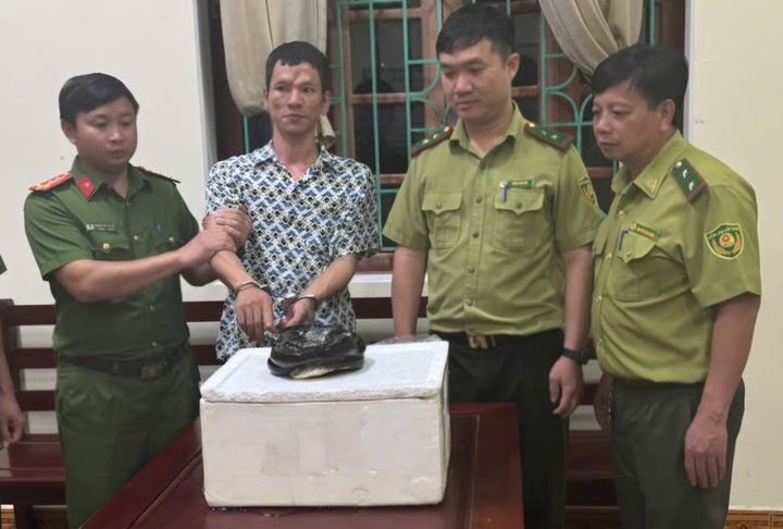 Mua rắn hổ ch&uacute;a qua mạng , người đ&agrave;n &ocirc;ng ở Ninh B&igrave;nh bị khởi tố Vi phạm ph&aacute;p luật - Ảnh 1.