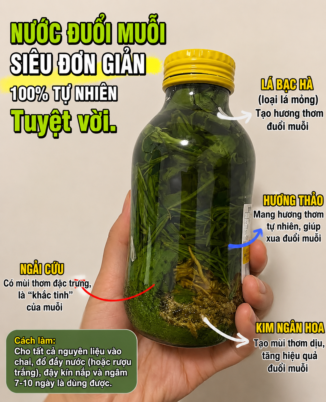 C&aacute;c &ldquo;mẹo chống muỗi&rdquo; đang được nhiều gia đ&igrave;nh &aacute;p dụng m&ugrave;a h&egrave; n&agrave;y: C&oacute; c&aacute;ch chỉ tốn v&agrave;i ngh&igrave;n đồng nhưng hiệu quả bất ngờ - Ảnh 3.