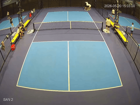 Clip đ&aacute;nh hỏng b&oacute;ng vung vợt pickleball g&acirc;y X&ocirc;n xao tại Quảng Ninh - Ảnh 4.