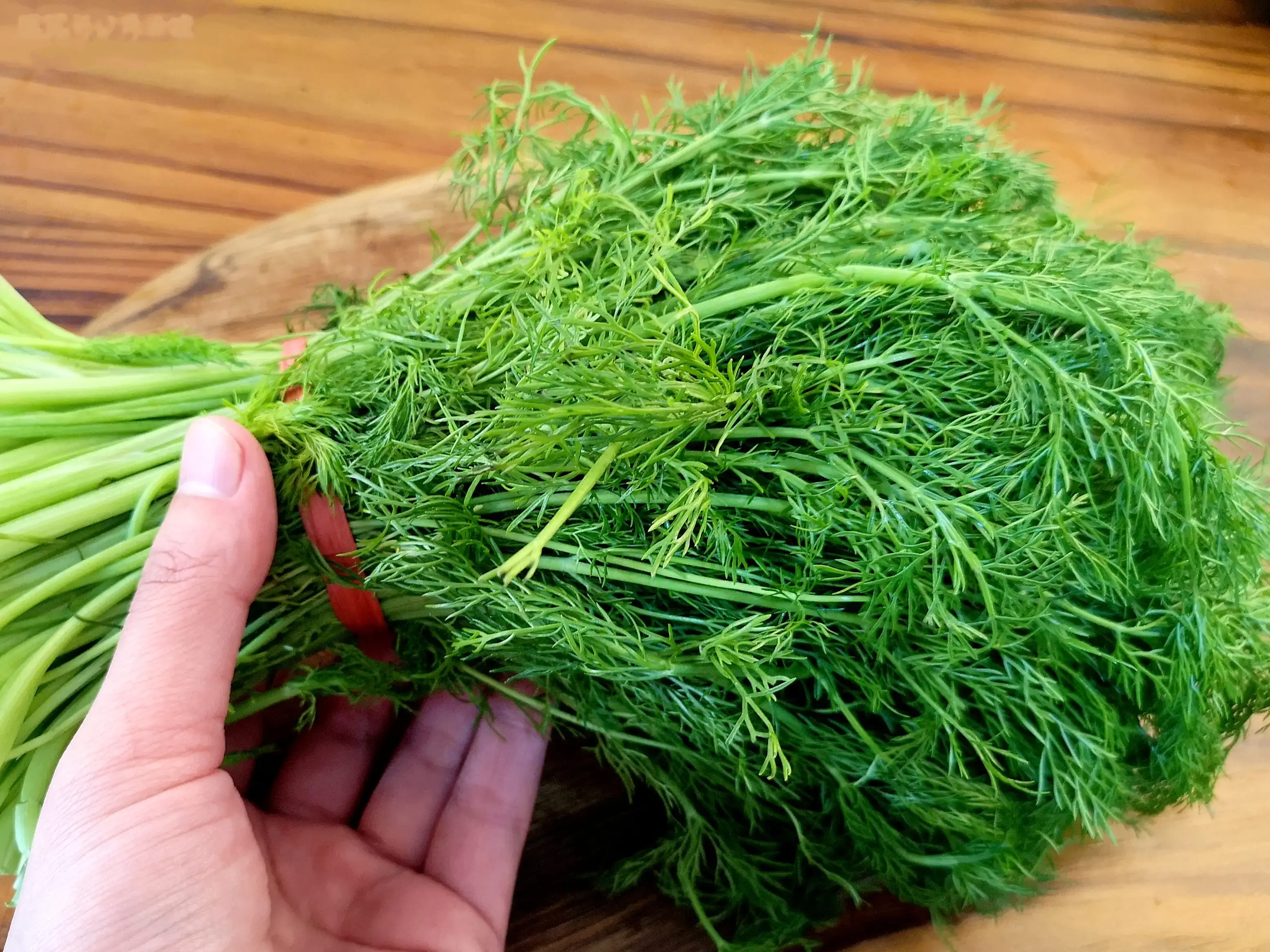 Trời n&oacute;ng hay ăn đồ lạnh khiến bụng "kh&oacute; ở", c&aacute;c cụ m&aacute;ch ăn loại rau n&agrave;y: Vừa rẻ vừa thơm, bổ dương kh&iacute;, ngon đến miếng cuối c&ugrave;ng- Ảnh 1.
